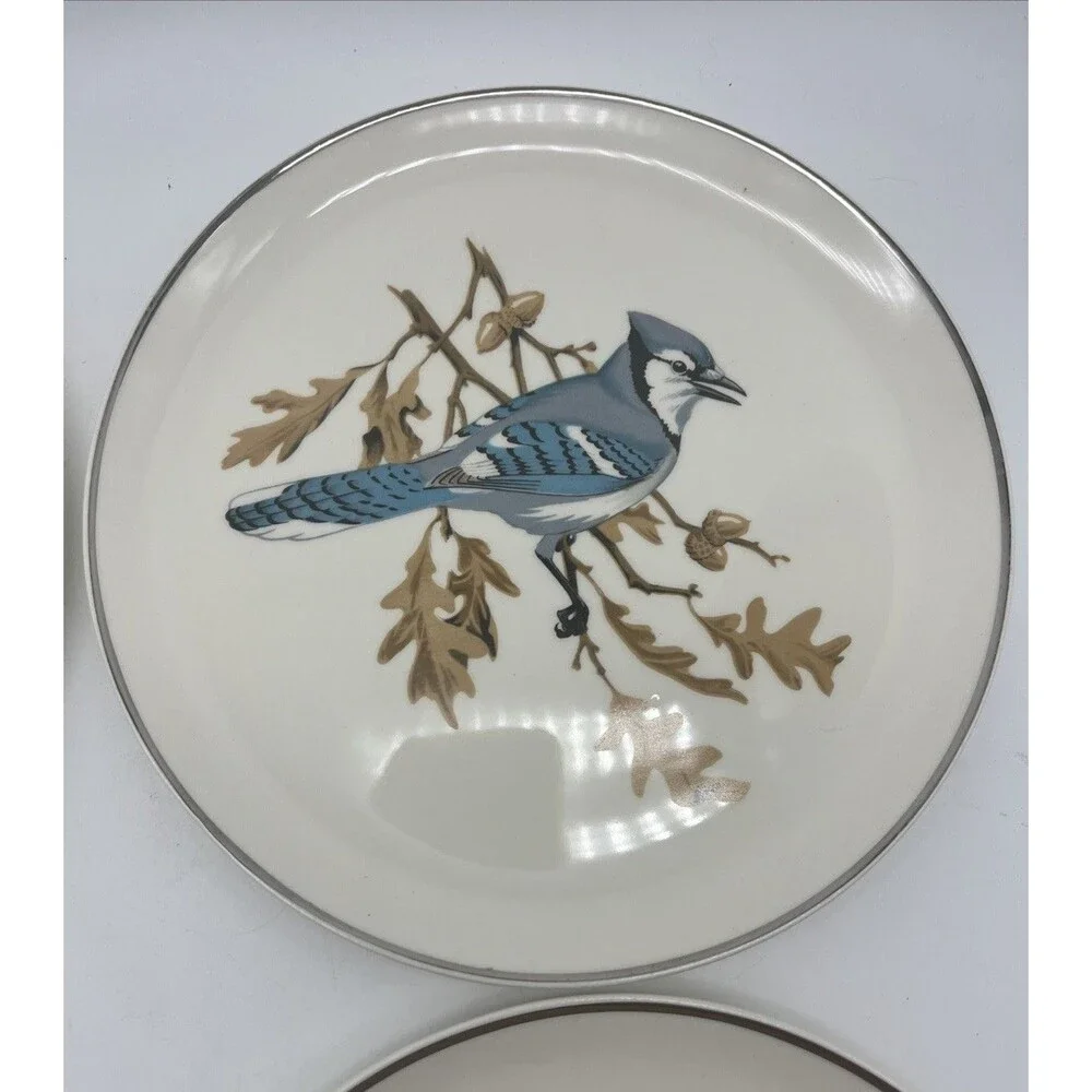 Crooksville usa songbirds